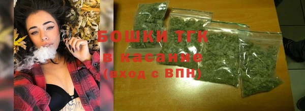 гашик Арсеньев