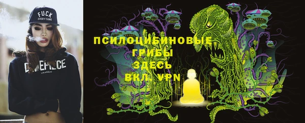 гашик Арсеньев
