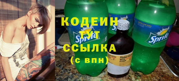 гашик Арсеньев