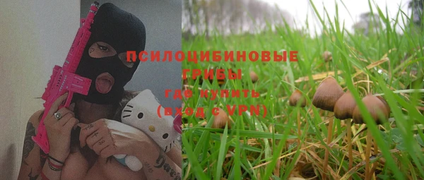 гашик Арсеньев